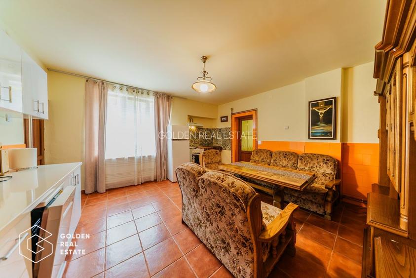 Afacere la cheie: Pensiune functionala sau casa de locuit, Ghioroc - 37