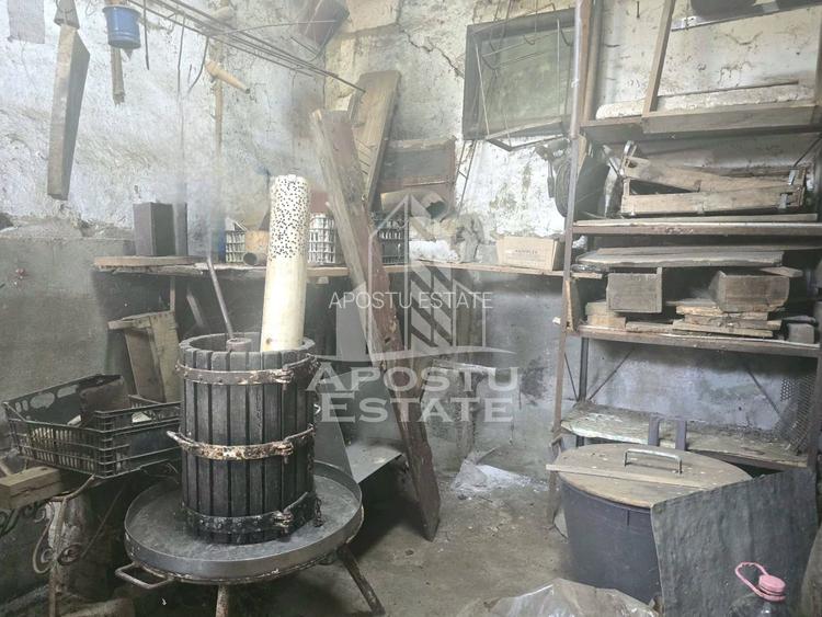 Casa cu teren in localitatea Simand - 12