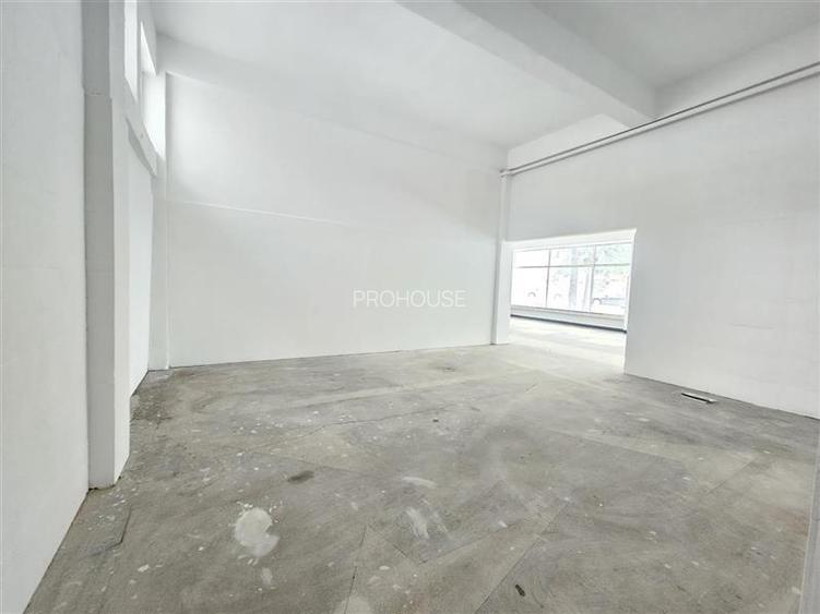 Spatiu Comercial, 250mp, Narcisa-ONIX - 7