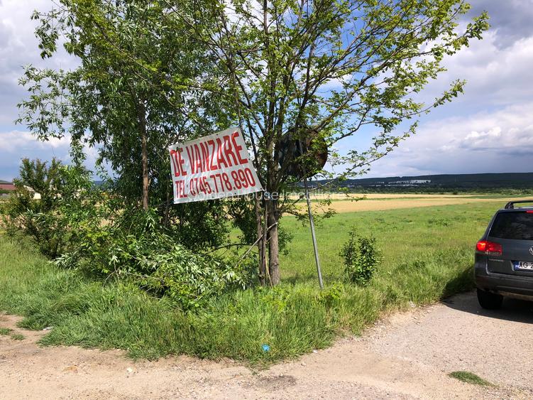 Teren Micesti cu deschidere la DN si drum lateral - 25 euro/mp negociabil - 5