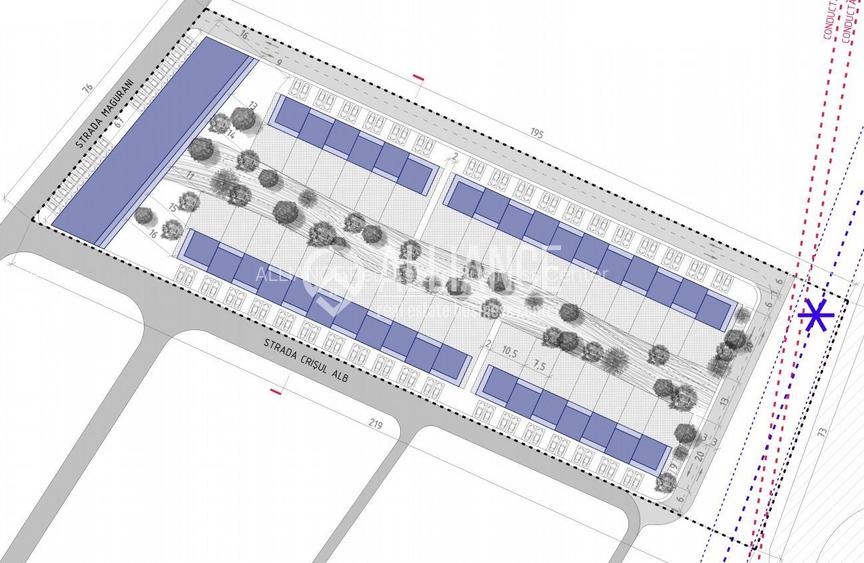 AUREL VLAICU - In spate la Raja! - 5