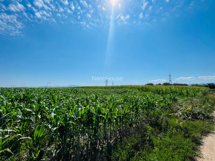 Teren  intravilan! Oportunitate de investitie! - 5