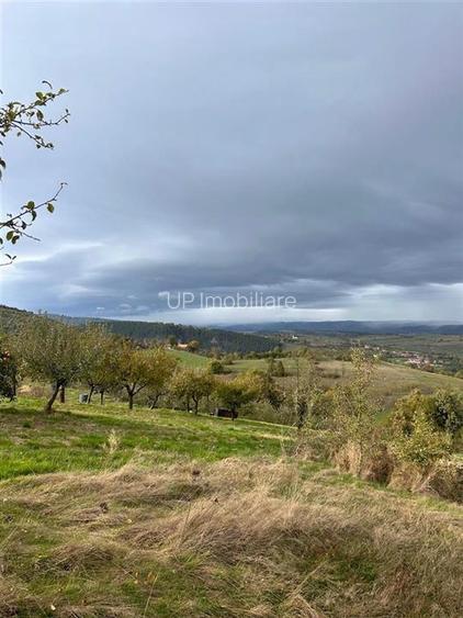 TEREN | 9341 MP | BALNACA GROSI | BIHOR - 7