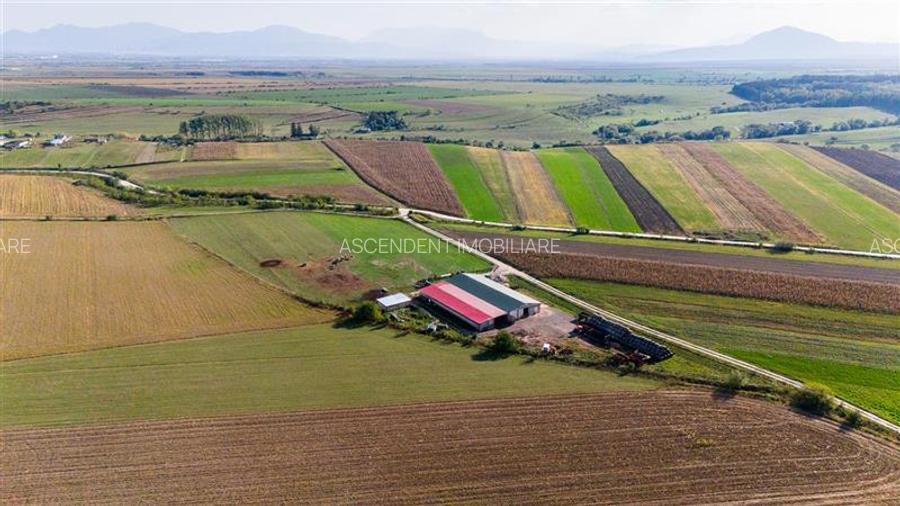 FILM! 18.000 mp, extravilan, agricol+ constructii:ferma,investitii agricole, Rot - 11
