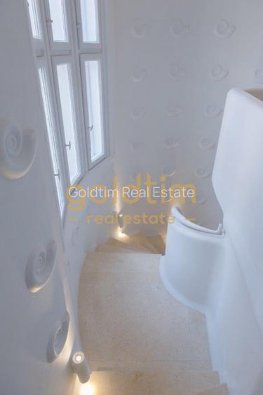 SPATIU BIROURI IN VILA INTERBELICA/RENOVATA/ULTRACENTRAL/GRADINA ICOANEI - 2