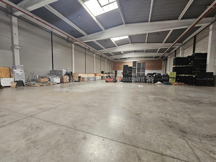 Hala industriala depozitare productie Giarmata - 1850 mp !! - 6