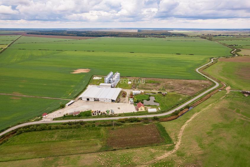 Teren 13500000 mp în Socodor - 12