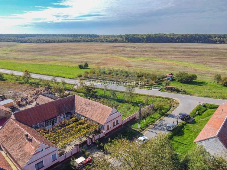 De vânzare teren cu livadă in Sârbova! - 4