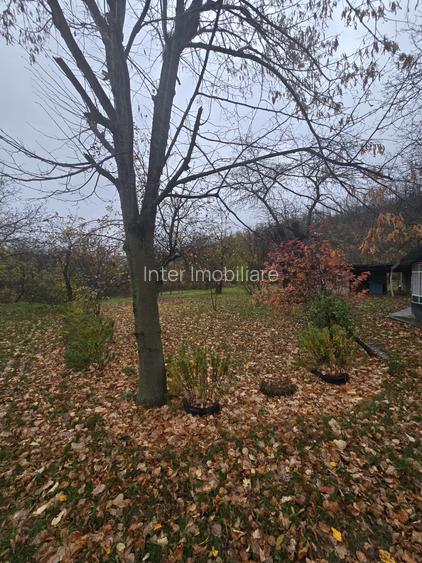 Teren intravilan Tomesti - 7