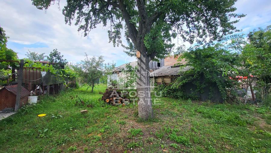 Casa individuala 3camere si teren de 1487 mp Bogdanestilor - 13