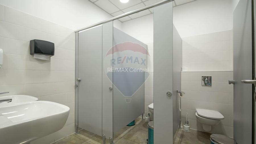 Hală industrială 5.000–12.000 mp de închiriat, Ghimbav - 11