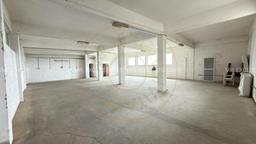 Inchiriere Cladire Productie, Depozitare 278 mp -Teren 1380 mp - Carei  - 4