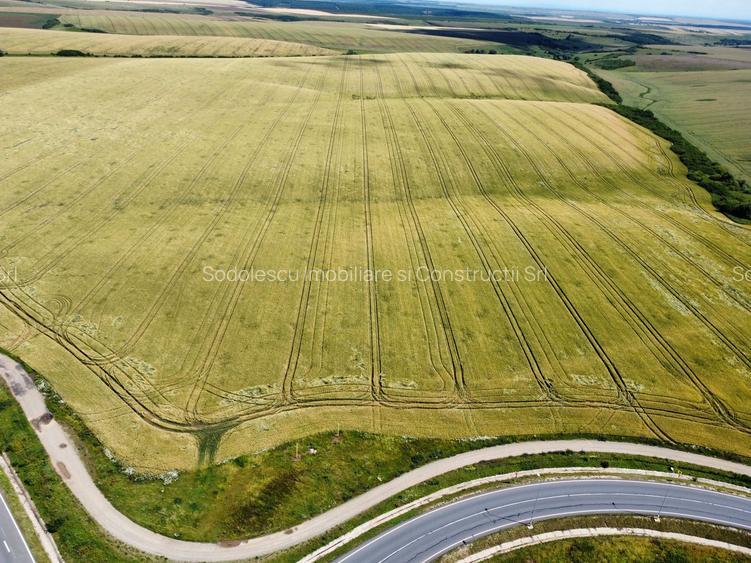 Teren la sosea Ortisoara - Autostrada A1 - 21