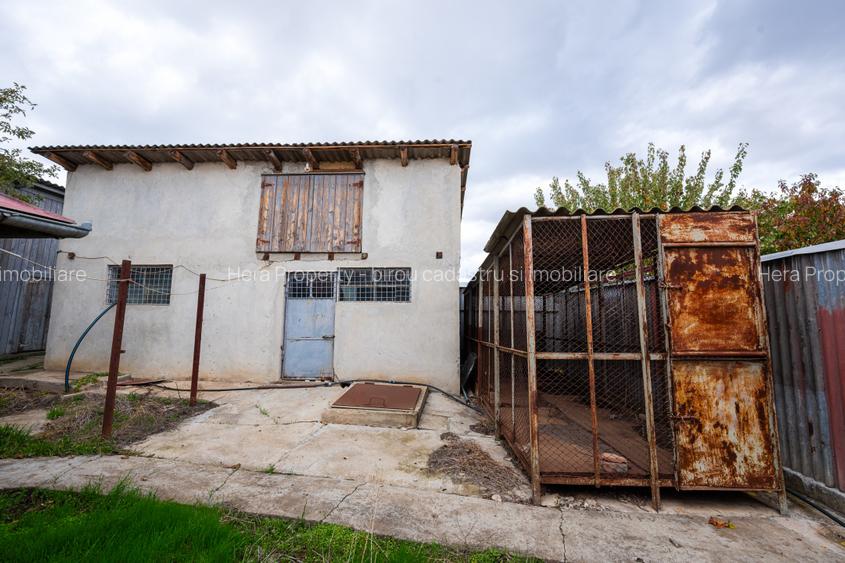 Gospodarie de vanzare in Tulucesti - 9