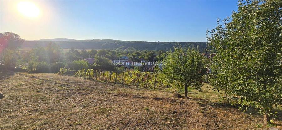 Teren intravilan + extravilan 10.537 mp – casa, livada sau ferma de familie - 12