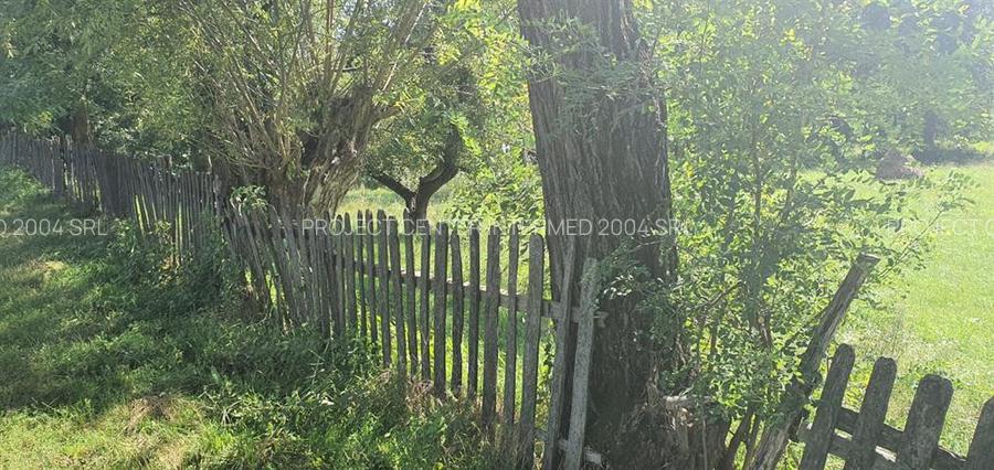 Teren Poienari la doar 9 km de Cetate - 3