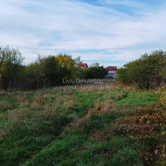 Teren de vanzare in comuna Sperieteni - 7