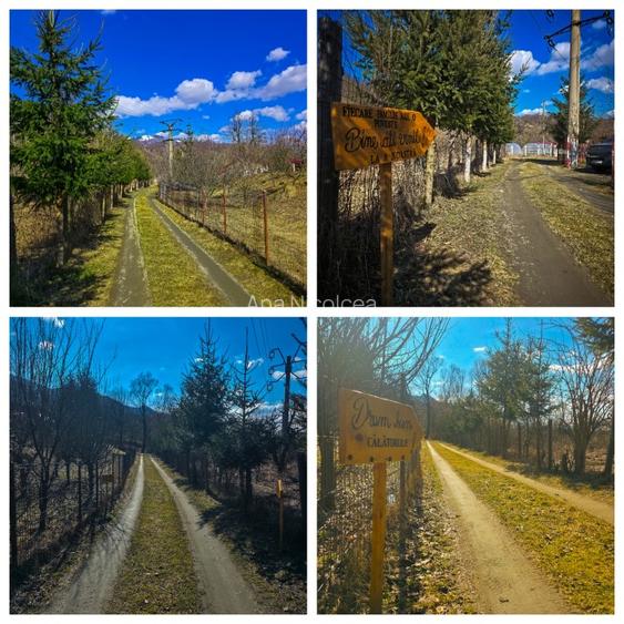 Se vinde: două case si o grădină de vis in Valea de Brazi - 3
