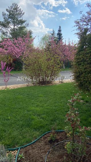 Vanzare casa Paradisul Verde Corbeanca - 25