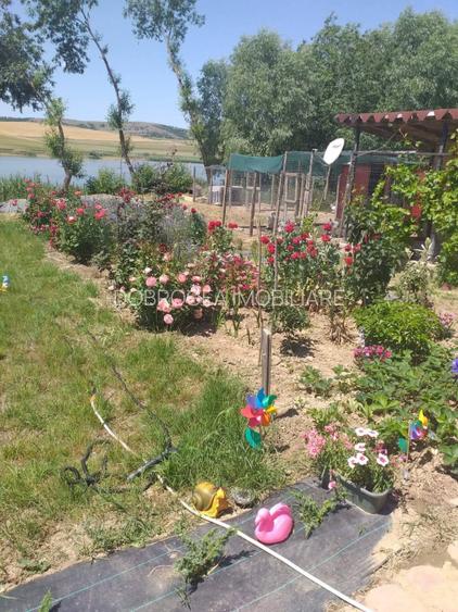 HORIA - 3 CAMERE ,SUPRAFATA 100 MP,TEREN 3000 MP CU DESCHIDERE LA LAC - 14