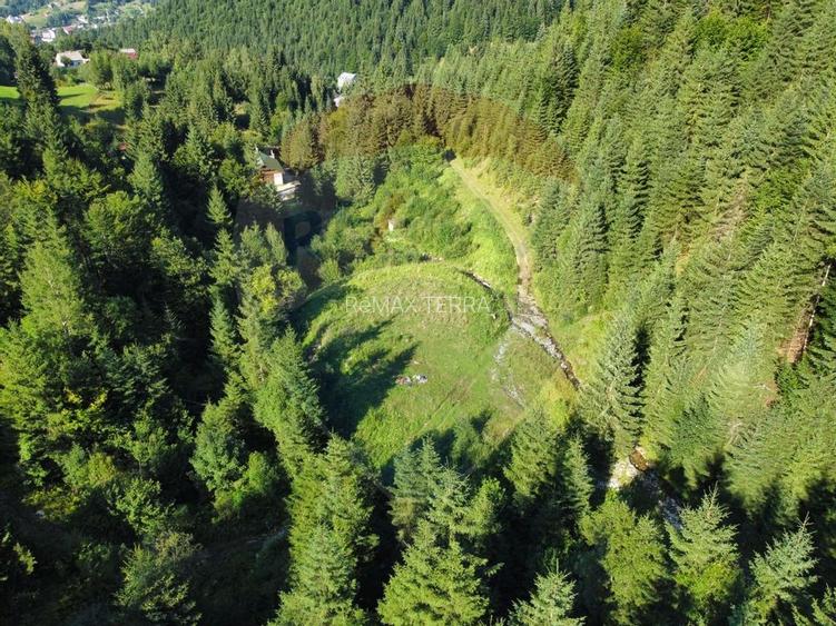 Teren 2,895mp Strada Priseci acces auto in zona telecabina BORSA - 4