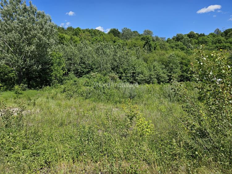 Cornu, Prahova, teren intravilan. 5.012mp, cu deschidere la DN1 38ml - 3