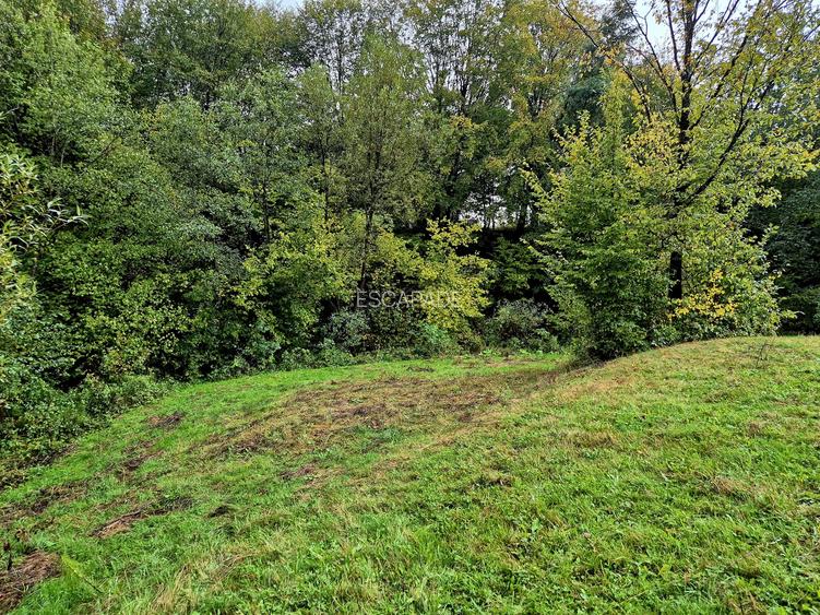 Comision 0%, teren extravilan 12497 mp Sinca Noua - 22