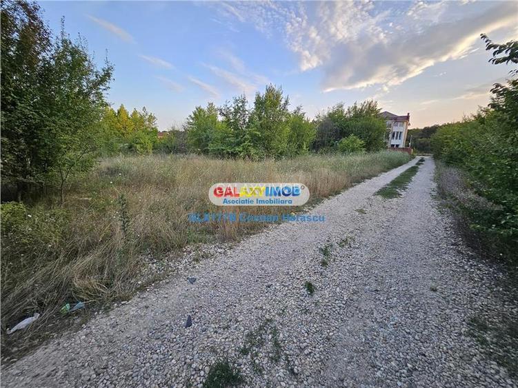 Buftea Flamanzeni 843 mp Str Independentei - 12