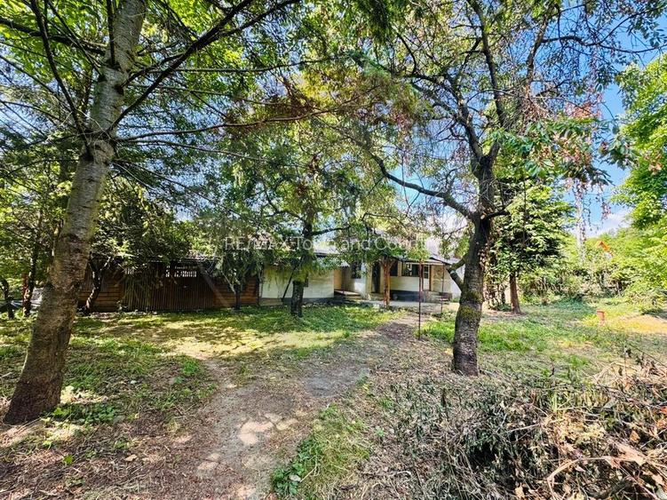 Casă cu 4 camere de vânzare pe str. Campu Negru, Sighet. - 2