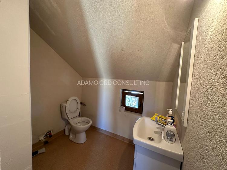 Casa de vanzare in Belis - 10