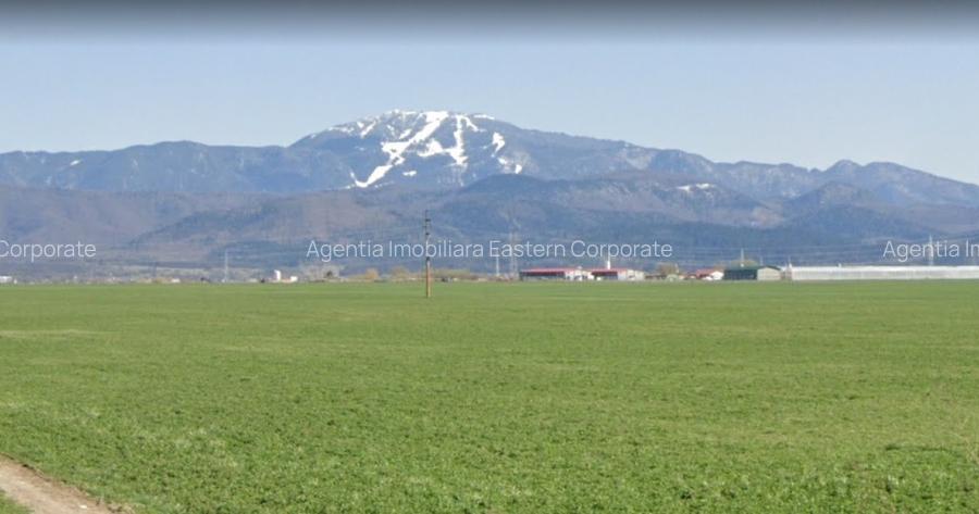 EXCLUSIVITATE-10 ha teren intravilan, curti constructii, front la  DJ  112A - 3