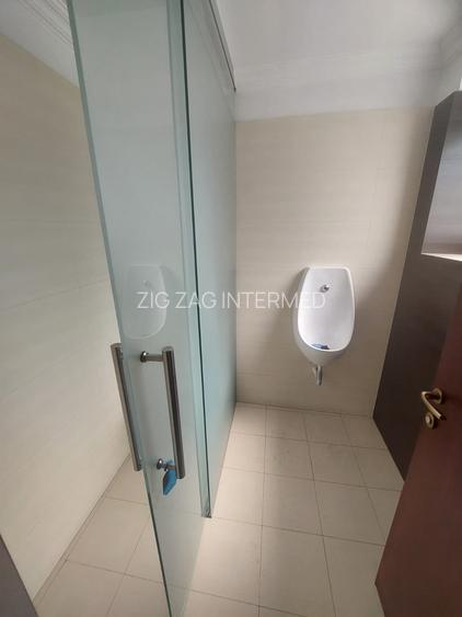 Ultracentral - cladire emblematica D+P+1+M, 430 mp., curte 200  mp. - 24