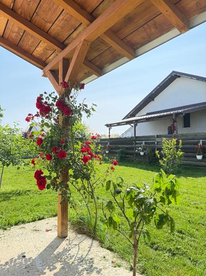 Casă P+1 +pod utilizabil | 150 mp | Curte 422 mp | Samurcași, Crevedia - 15