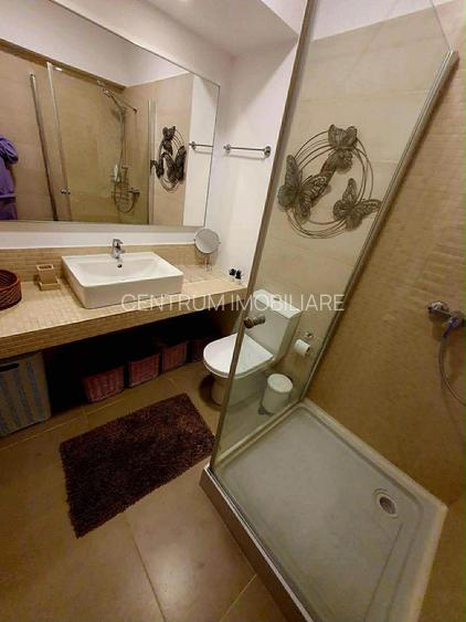 Inchiriere garsoniera Grozavesti terasa si parcare - 16