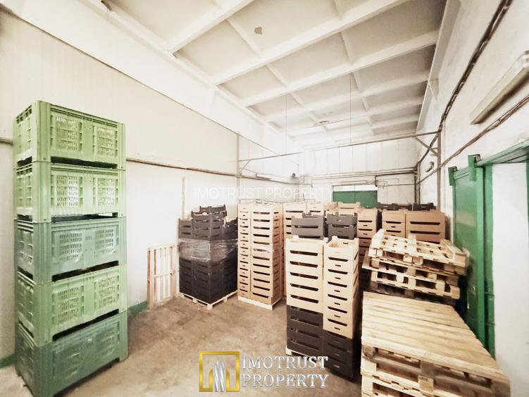 Hala industriala de vanzare Arad – 589 mp - 4
