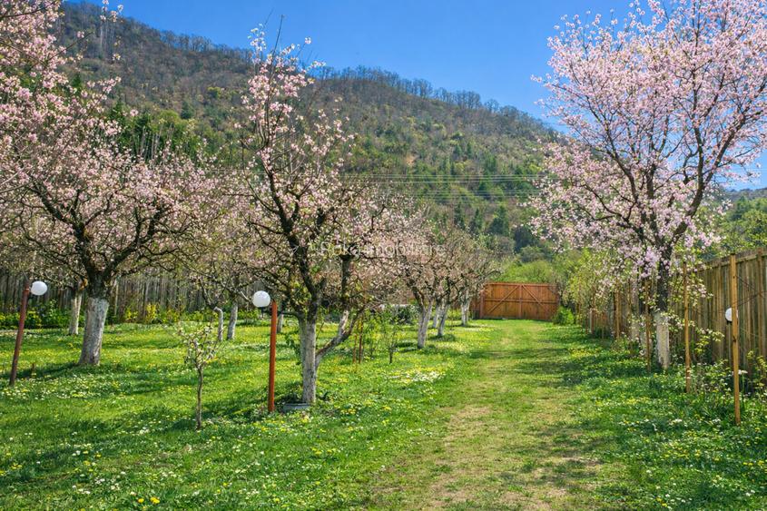 Proprietate montană,teren generos, casă solidă și autonomie energetică  Mălaia - 4