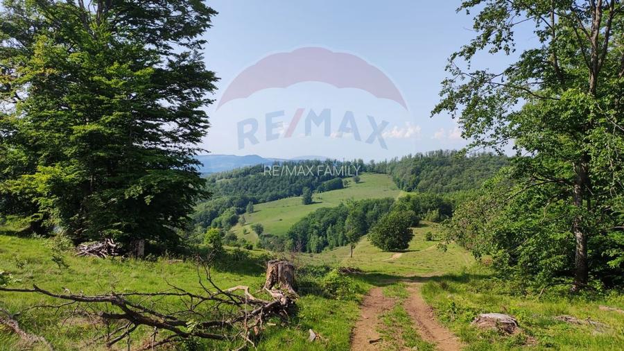 Teren 130000 mp extravilan, faneata si padure, Munteni - Bulz, Negreni - 13