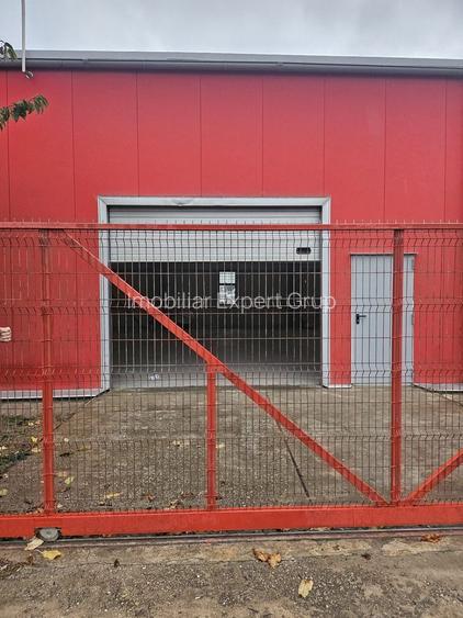 Hala 437 mp Domnesti - Pasaj - 2