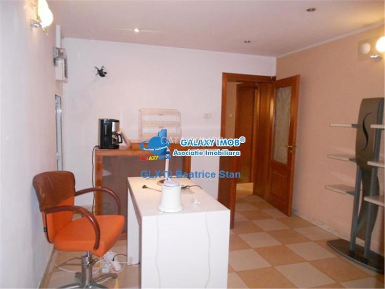 Demisol inalt elegant in vila SALON BIROU in COTROCENI   EROILOR - 12