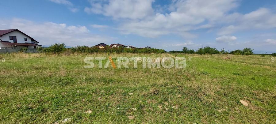 Teren Intravilan Tarlugeni - 8