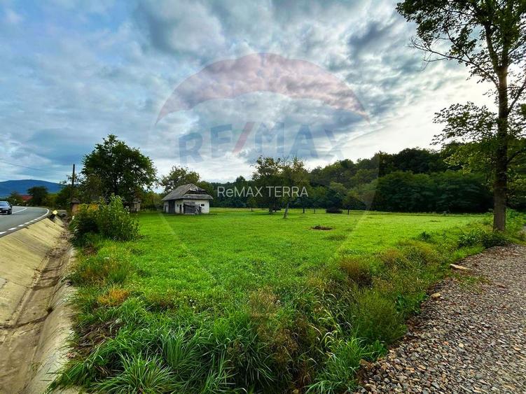 Teren de vânzare in Fauresti - 4