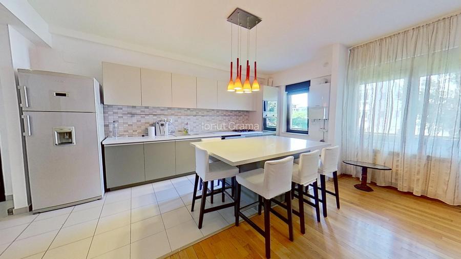 Iancu Nicolae, 3 camere, mobilat & utilat full, 2 parcari, 2 bai, retras, padure - 3