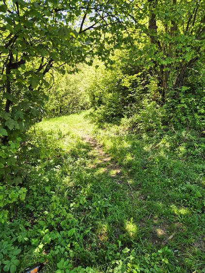 Teren intravilan 1577 mp, Schei Brasov - 7