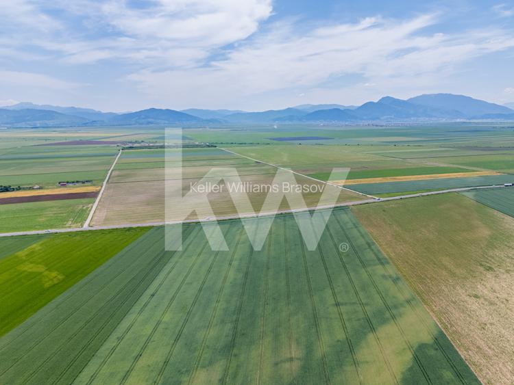 Teren de vanzare I 8 Euro/ mp I Deschidere la drum - Harman - 14