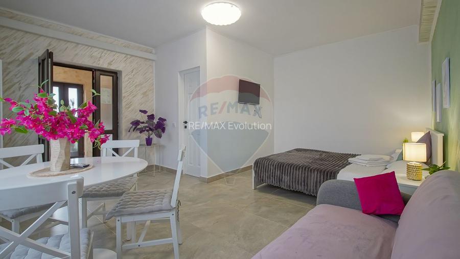 Vila cu 9 dormitoare și 7 băi în Stupini, Brașov - 18