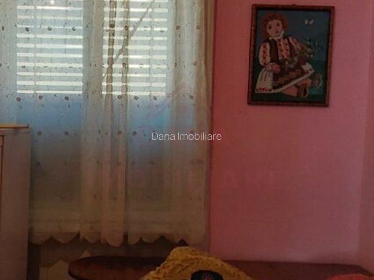 CASĂ IABLANIȚA,JUD. CARAȘ-SEVERIN - 7