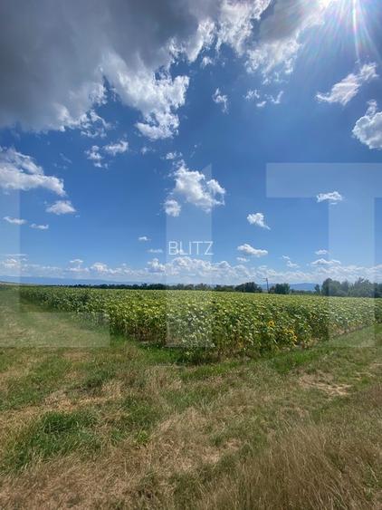 De vânzare teren arabil – 4,58 ha, Moacșa, Covasna - 2
