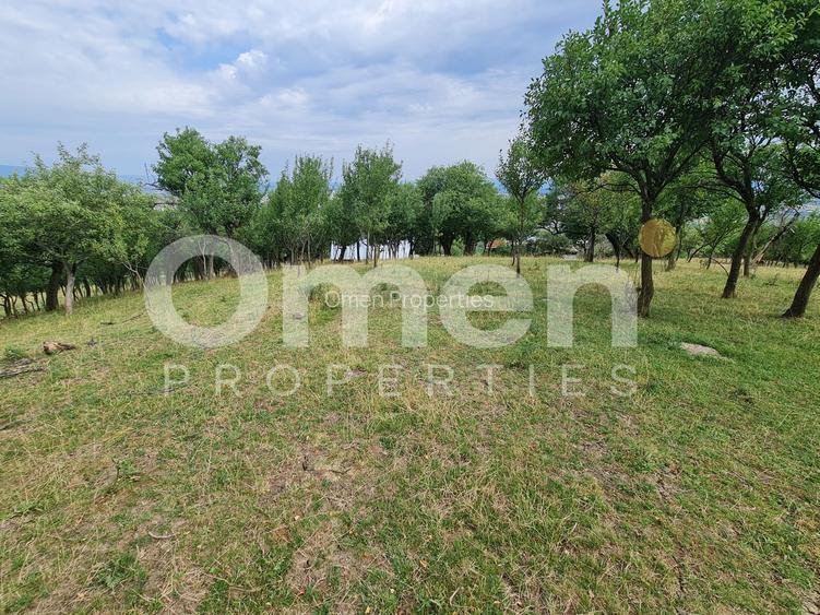 Teren de vânzare | Suprafață 10.040 mp | 2.500 € / ar | Strada Nucului - 8