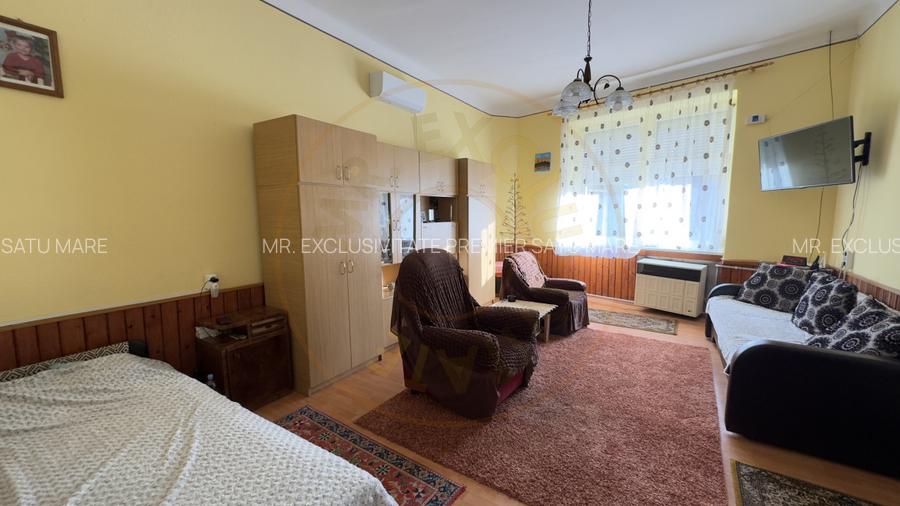 Casa 4 camere cu Teren 2.974 mp | Rezidenta sau afacere | Carei - 6