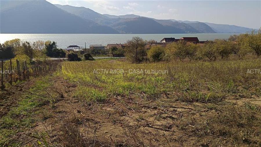 Teren Intravilan langa Dunare!  Disponibil la 15 Euro mp - 11